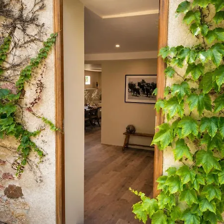 Domaine Cammazou * Montolieu