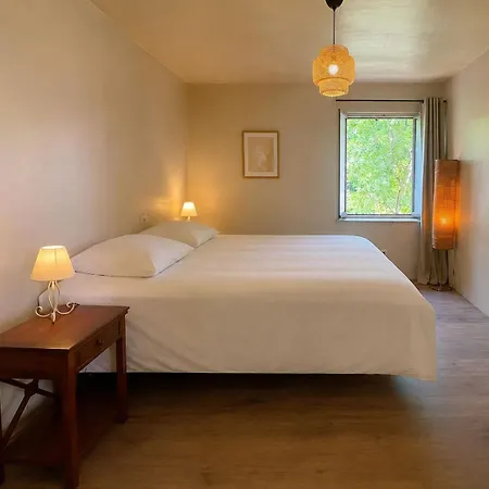 Domaine Cammazou Feriehus *
