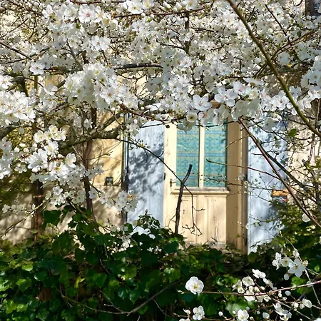 Domaine Cammazou Feriehus *