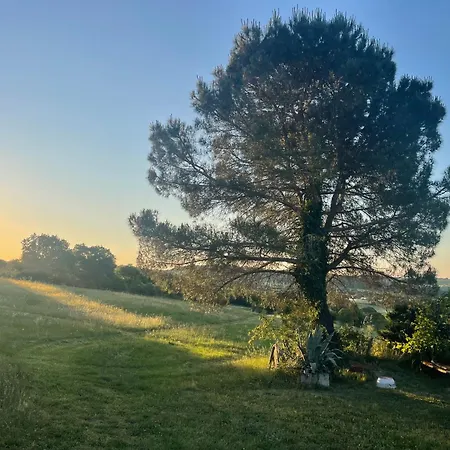 Domaine Cammazou Feriehus *